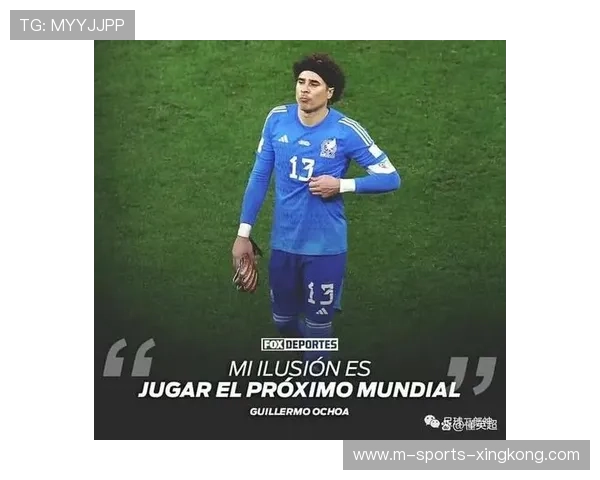 意甲青年军成为冬窗投资抄底的首选 意甲青年军成为冬窗投资抄底的首选