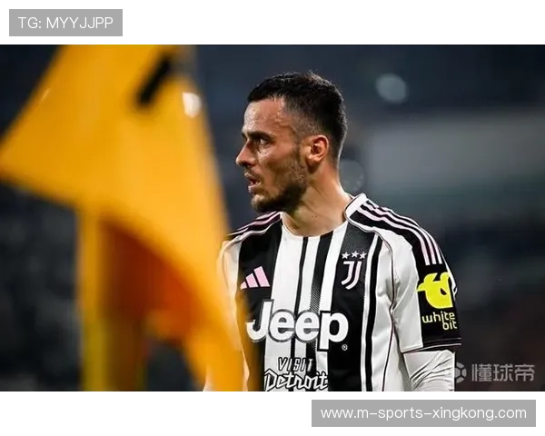 本菲卡后防核心受各方关注 本菲卡后防核心受各方关注