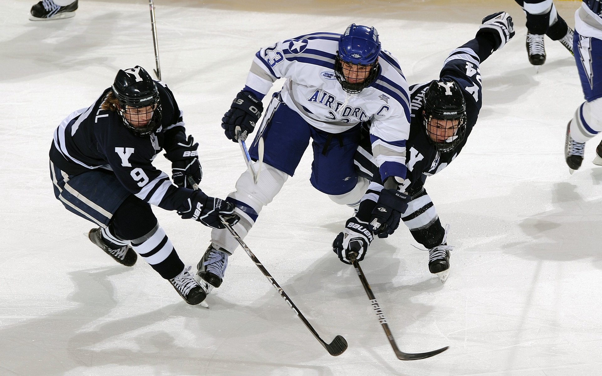 国际艺术马拉松 用跑步连线城市美术馆与画廊